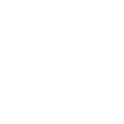 REVOLVERMÄNNER NETWORK